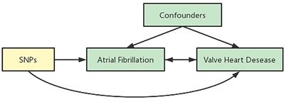 Genetically Predicted Atrial Fibrillation and Valvular Heart Disease: A Two-Sample Mendelian Randomization Study